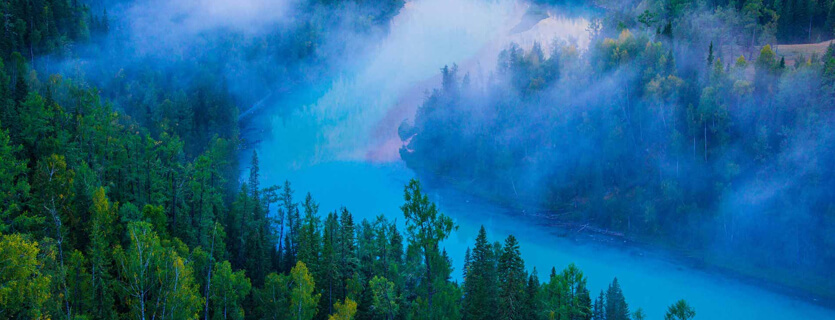 社会效益：环保 + 减碳+医疗三重价值