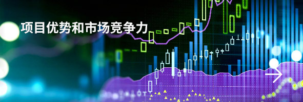 项目优势和市场竞争力