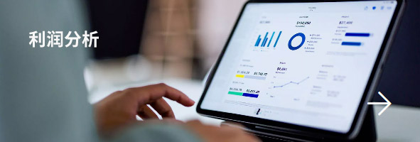 利润分析