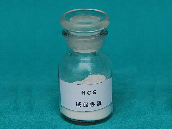 绒促性素 (2).JPG