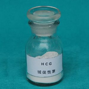 绒促性素