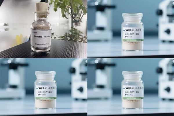 e86c19e0cee7603c12356c1f22e1d935