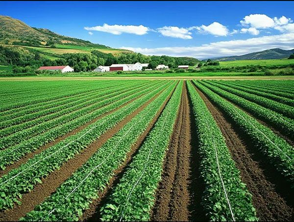 86bc84c5cf2b960ecd67e7c87806c184