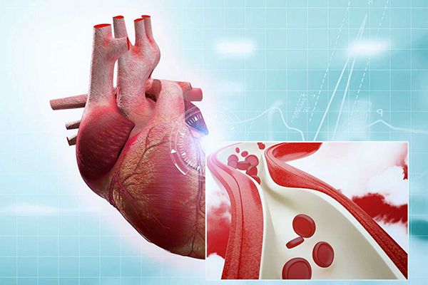 9817523c41a25616378eea9f07cd2415