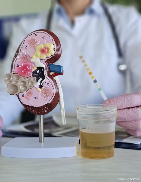 74b876a656695cc4d7be48f24937a418