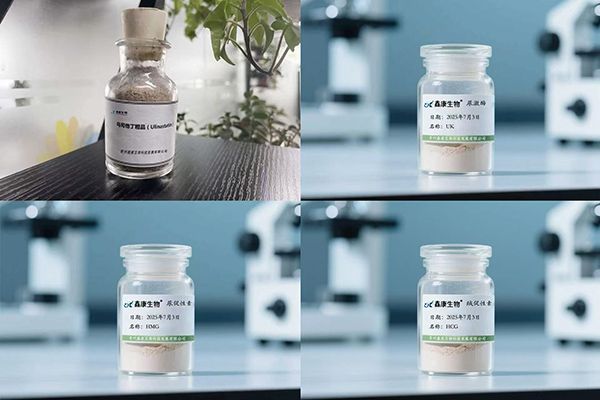 e86c19e0cee7603c12356c1f22e1d935